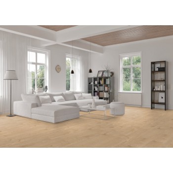 SPC Kaindl S343 AS Rovere Ravenna