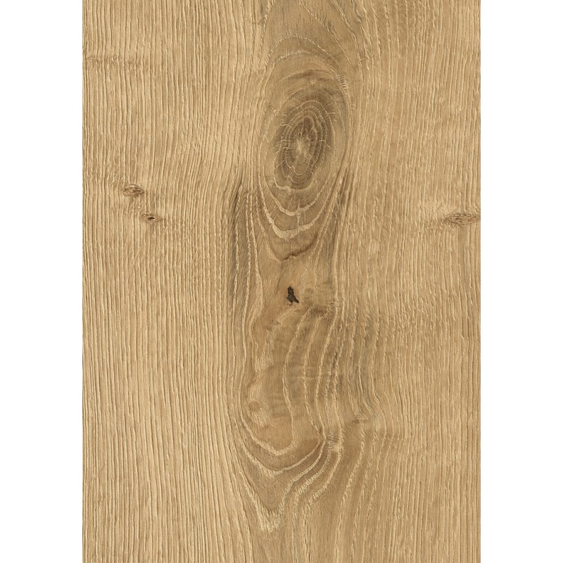 SPC Kaindl S341 AS Rovere Pisa